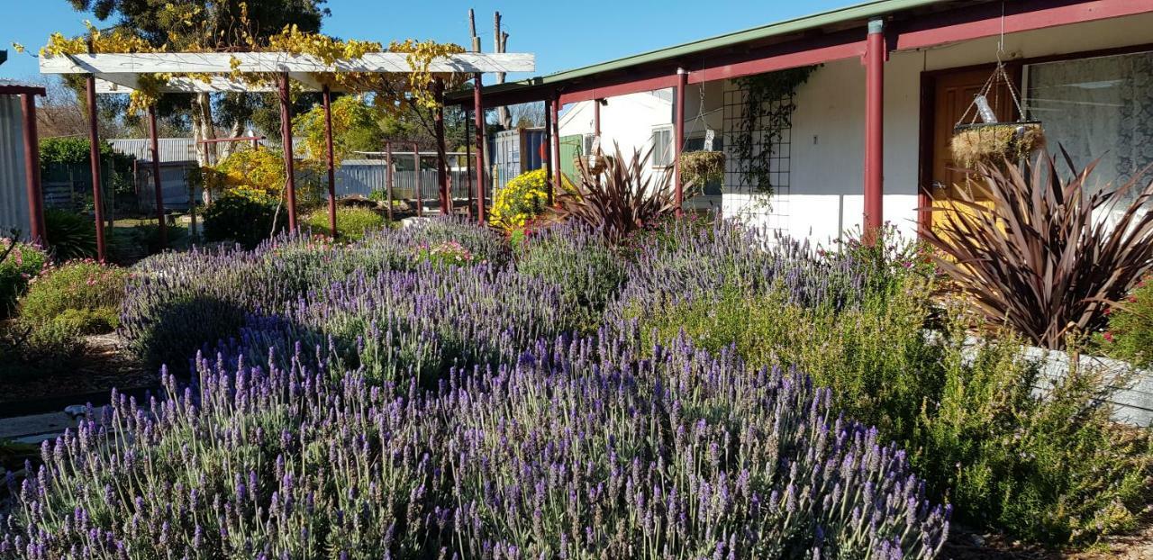 Clunes Motel Exterior photo